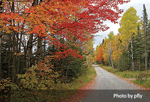 Maine